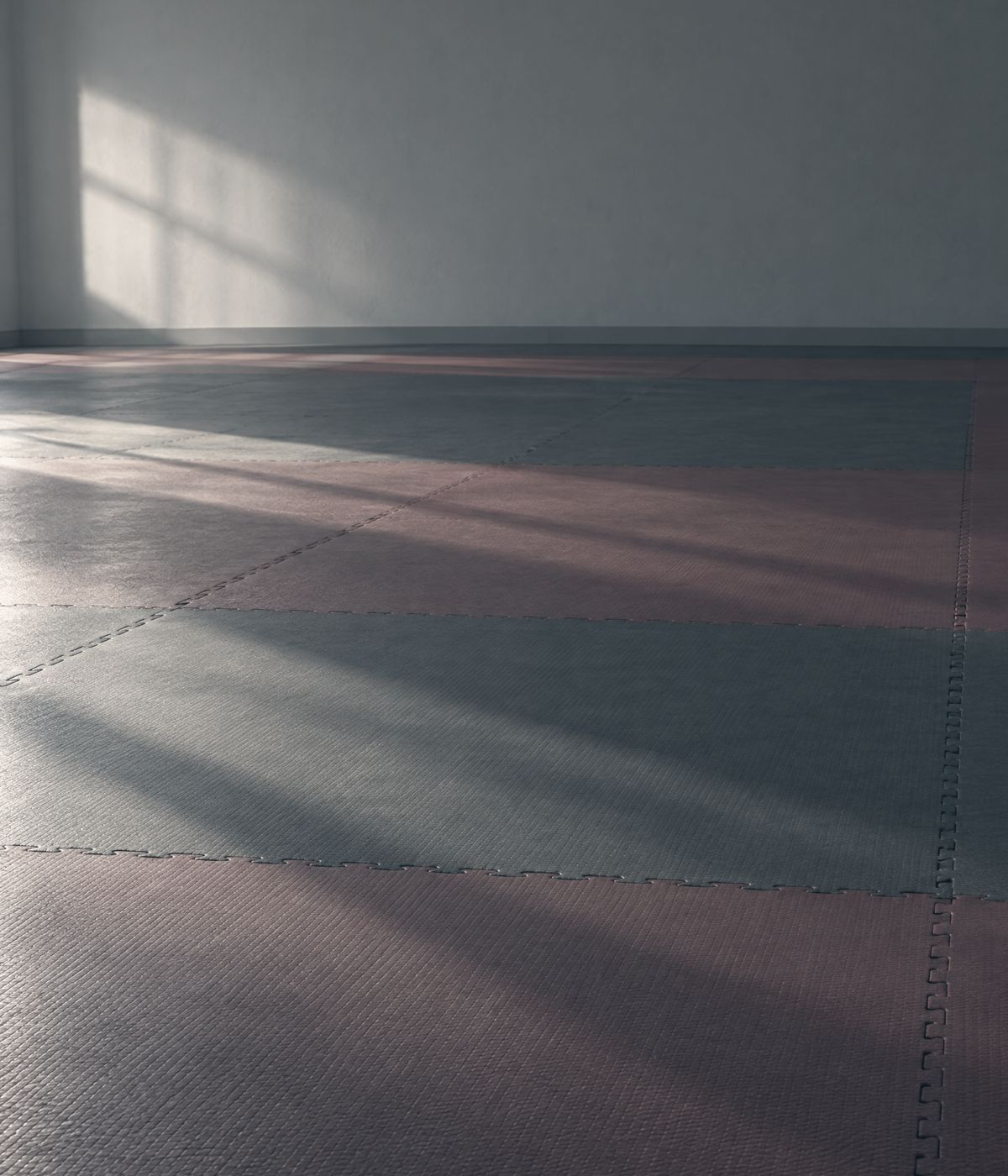 Tatami vacío con la luz de la mañana cruzando la sala